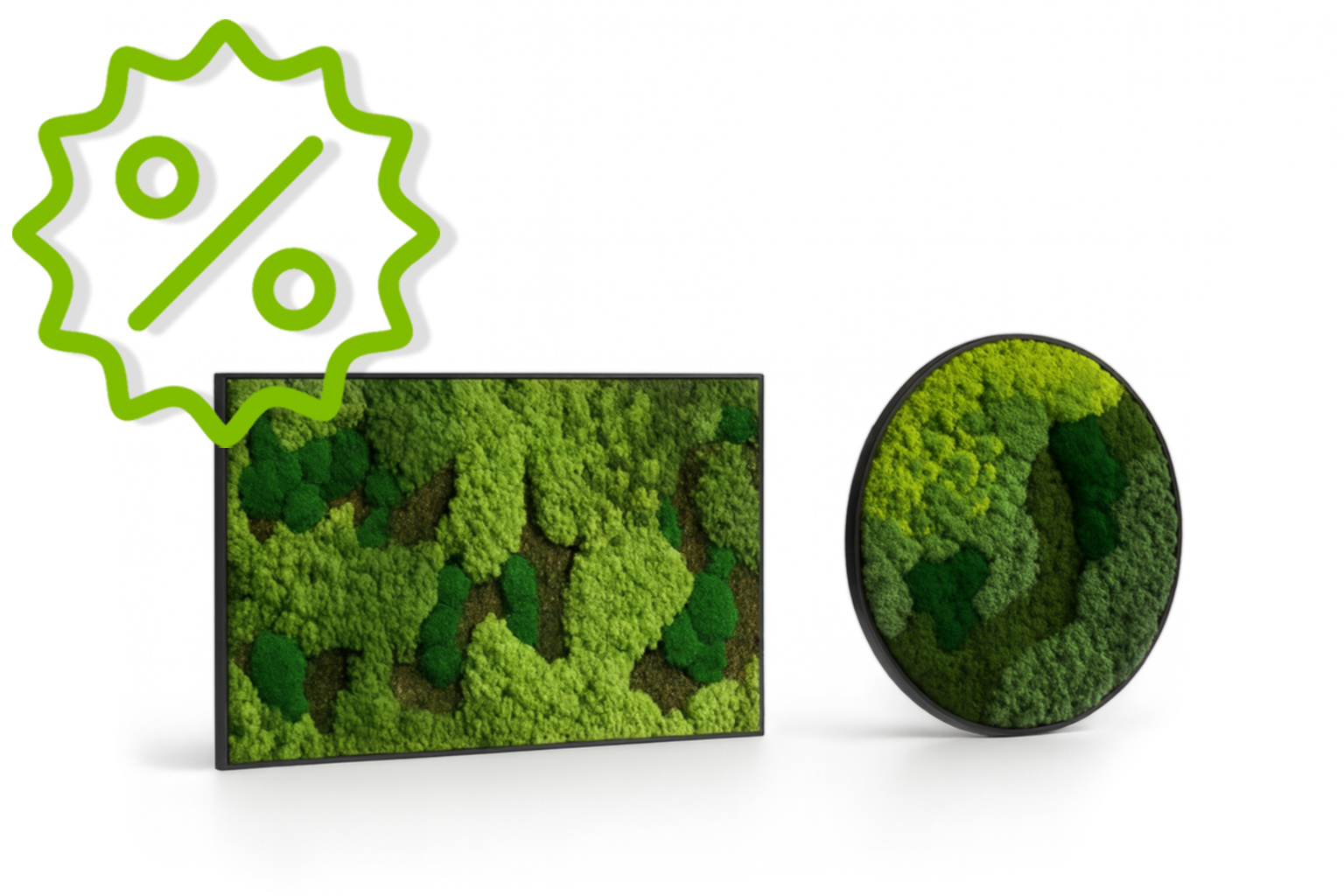 Moss Art Outlet