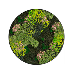 Moss circle style Evelae