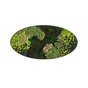 Moss oval Evelae