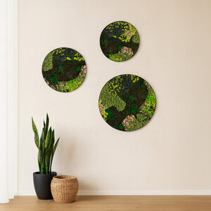 Moss circle set Evelae