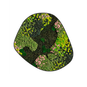 Mossdot cinco Evelae