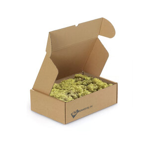 Reindeer moss box M Calma 0,10 m²