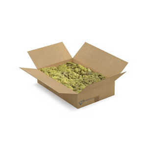 Rendiermos doos L Calma 0,20 m²