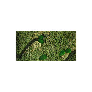 Moss rectangle Contraria