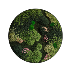 Moss circle style Flow