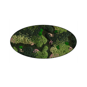 Moss oval Flow