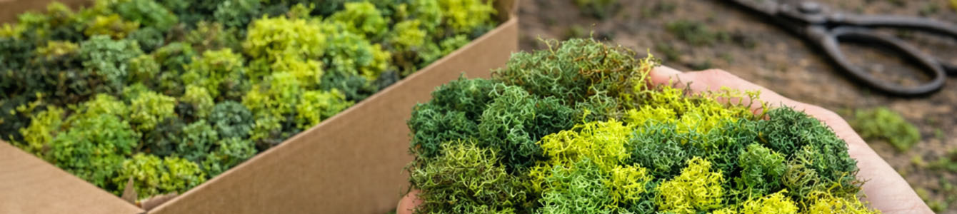 eco mos mosschilderij los mos