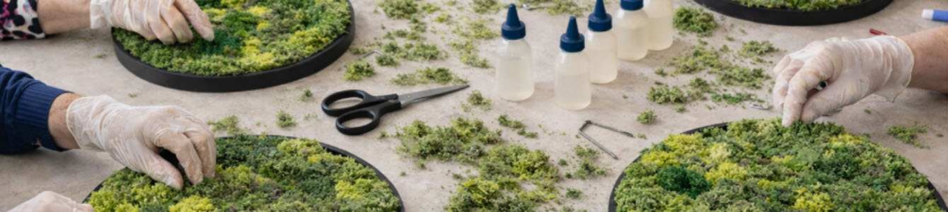 workshop box zelf mosschilderij maken mosschilderij,nl