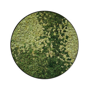 Moscirkel stijl Maris