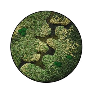 Moss circles style Vitalis