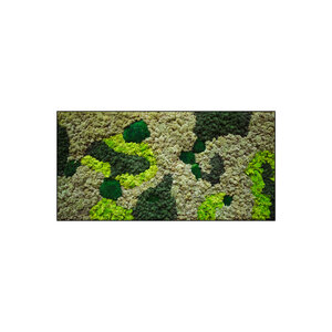 Moss rectangle Vlekova