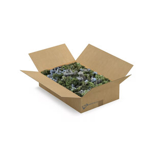ECO moss box L Mix Glaciem 0,30 m² | The Cheapest