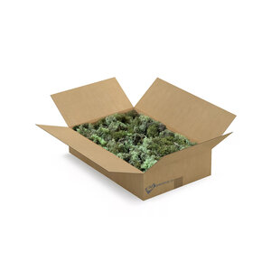 ECO mos doos L  Mix Mentha 0,30 m² | Dé Goedkoopste