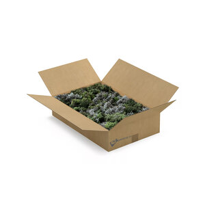 ECO mos doos L  Mix Mousey 0,30 m² | Dé Goedkoopste