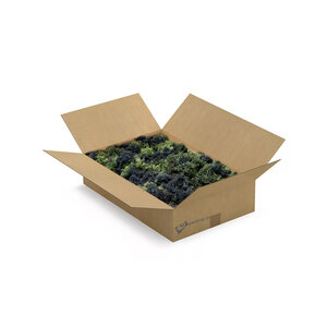 ECO moss box L Mix Nigrum 0,30 m² | The Cheapest