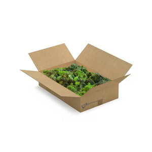 ECO moss box L Mix Pacem Light 0,30 m² | The Cheapest