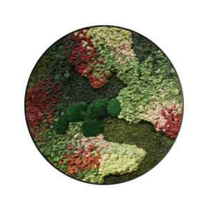 Moss circle style Florielle