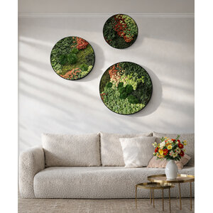 Moscirkel set Florielle