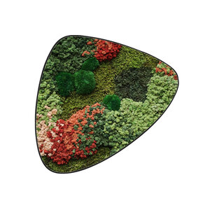 Mosdot tres Florielle