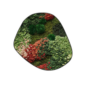 Mosdot cinco Florielle