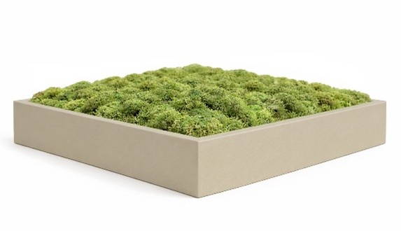 Lijst mosschilderij kiezelgrijs