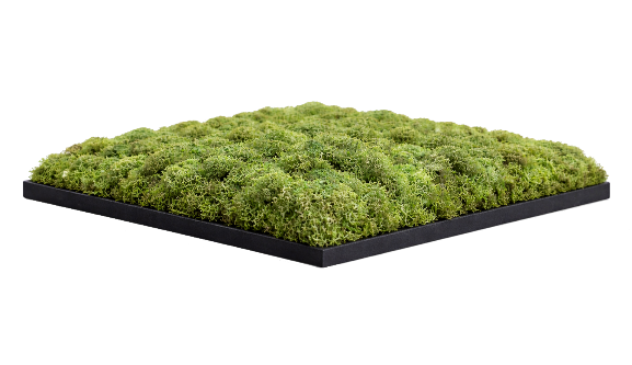 Kopse zijde zwart mosschilderij