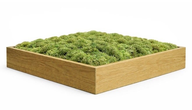 mosschilderij lijsten eiken hout