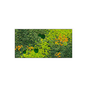 Moss rectangle Sundara