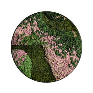 Moscirkel Stijl Blush