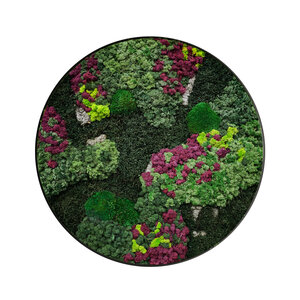 Moscirkel Stijl Soraya