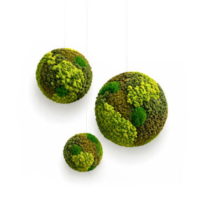 Mosbol van mossenmix