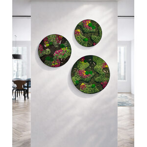 Moss circle set Soraya