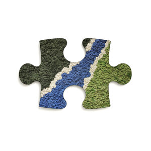 Moss Puzzle Piece River