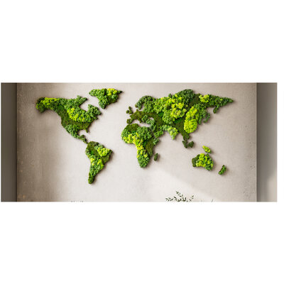 Moss World Map: the green eye-catcher for your interior