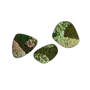 Mossdot set Thalia