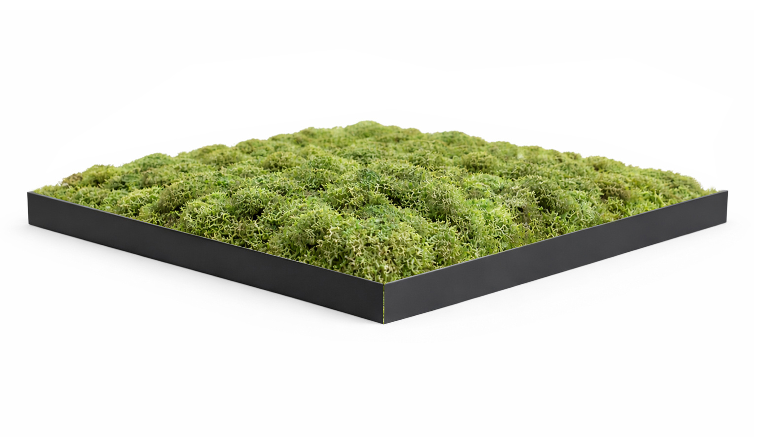 mosschilderij lijsten eiken hout