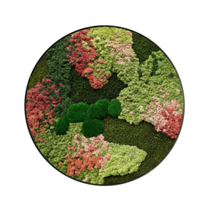 Moss circle style Florielle