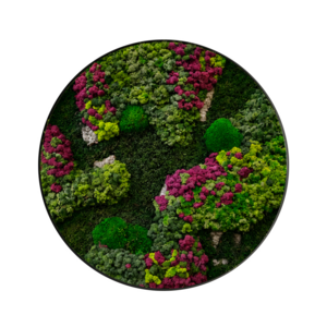 Moss circle Soraya