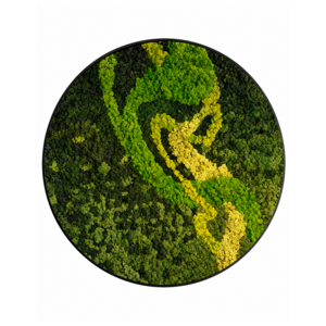 Moss circle style Colvaya
