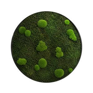 Moss circles style Floki