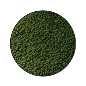 Moss circle style Forest