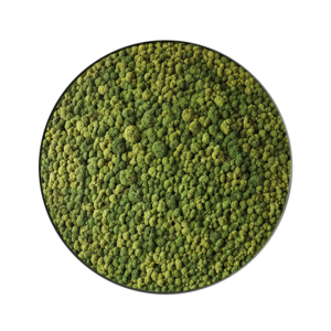 Moss circle style Dimidium