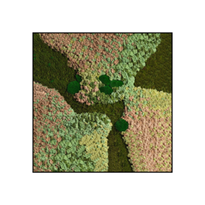 Moss square Thalia