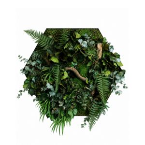 Junglehexagon Java