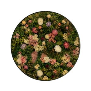 Flower circle style Avalon sweet