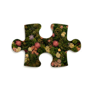 Moss Puzzle Piece Sweet
