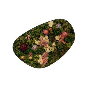 Mossdot cuatro Sweet