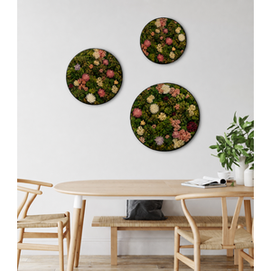 Flower circle set Sweet
