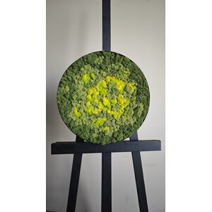 OUTLET moscirkel 40 cm incl. zwarte stalen rand