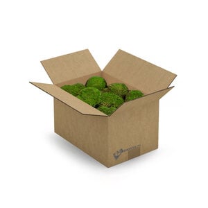 Ball moss light box L 0.20 m²